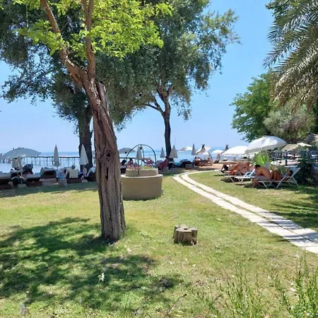 Adriana Mon Repos Ανεμόμυλος